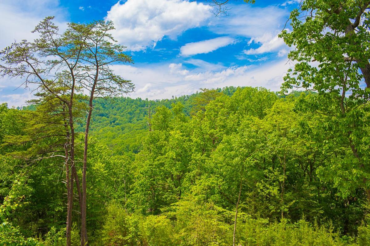 Nature'S Paradise Sevierville Zewnętrze zdjęcie